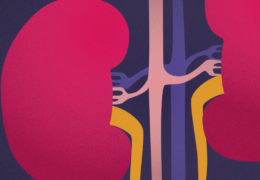 Preventing Chronic Kidney Disease