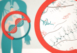 Rejection-Free Donor Tissue