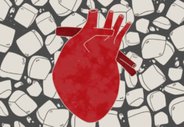 Erhaltung von Transplantationsorganen