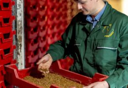 Antoine Hubert, CEO and co-founder of Ynsect. He patents a vertical farm that produces natural insect proteins and fertilizers. In Dole (Jura), the vertical farm raises several million insects to make insect meal and oil.