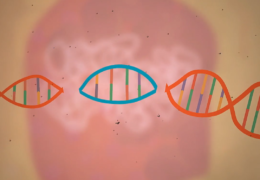 Key Solution in Cancer Treatment
